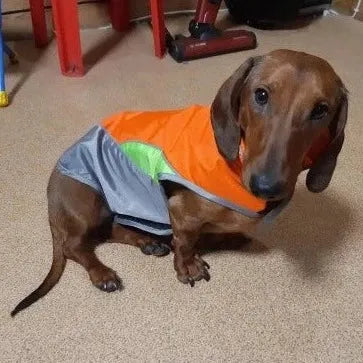 Cooper Waterproof Dachshund Jacket Orange / XS thedoxieworld