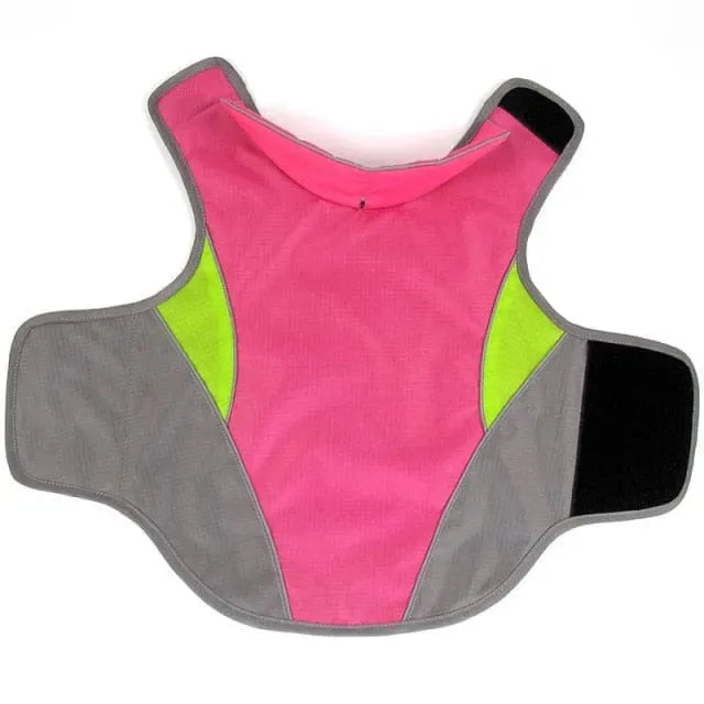 Cooper Waterproof Dachshund Jacket Pink / XS thedoxieworld