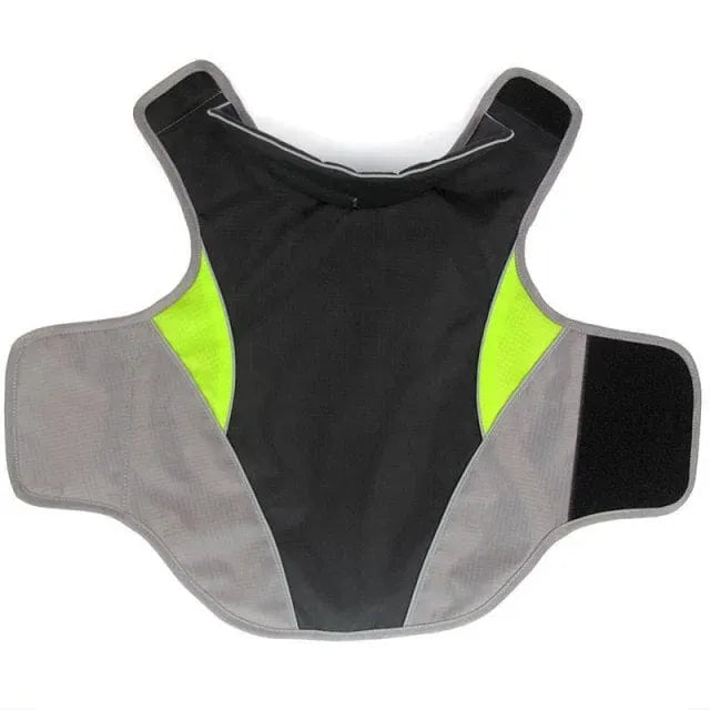 Cooper Waterproof Dachshund Jacket Black / XS thedoxieworld