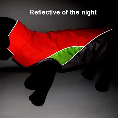 Cooper Waterproof Dachshund Jacket thedoxieworld