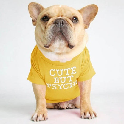 ''Cute But Psycho'' - Graphic Dog T-Shirt yellow / M The Doxie World