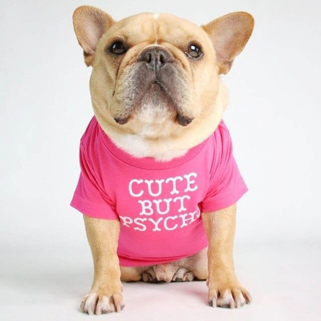 ''Cute But Psycho'' - Graphic Dog T-Shirt pink / L The Doxie World