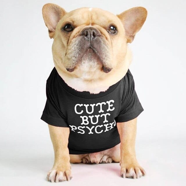 ''Cute But Psycho'' - Graphic Dog T-Shirt black / S The Doxie World