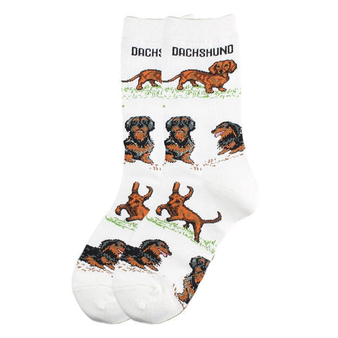 Cute Dachshund Socks Dachshudns The Doxie World