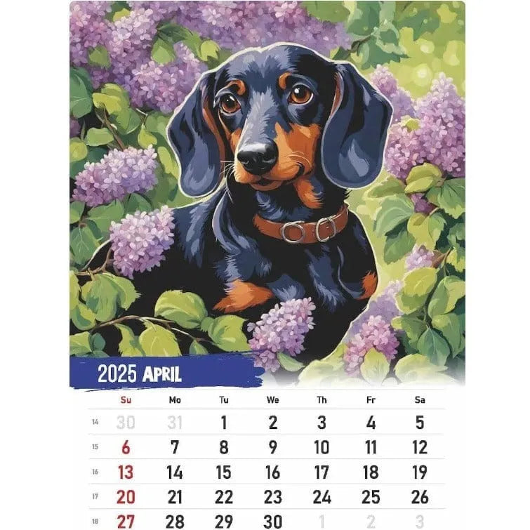 Dachshund Calendar 2025 The Doxie World