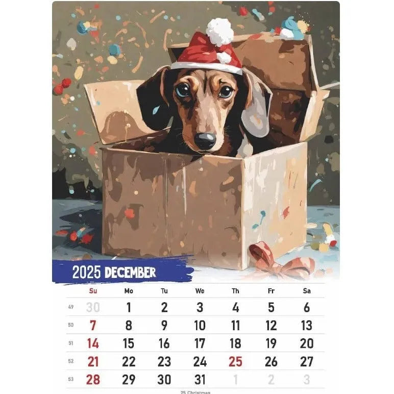 Dachshund Calendar 2025 The Doxie World