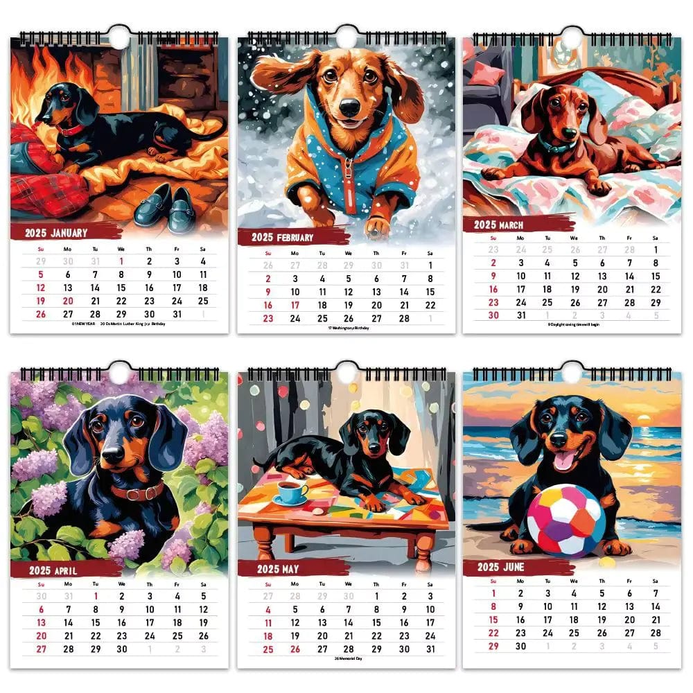 Dachshund Calendar 2025 The Doxie World