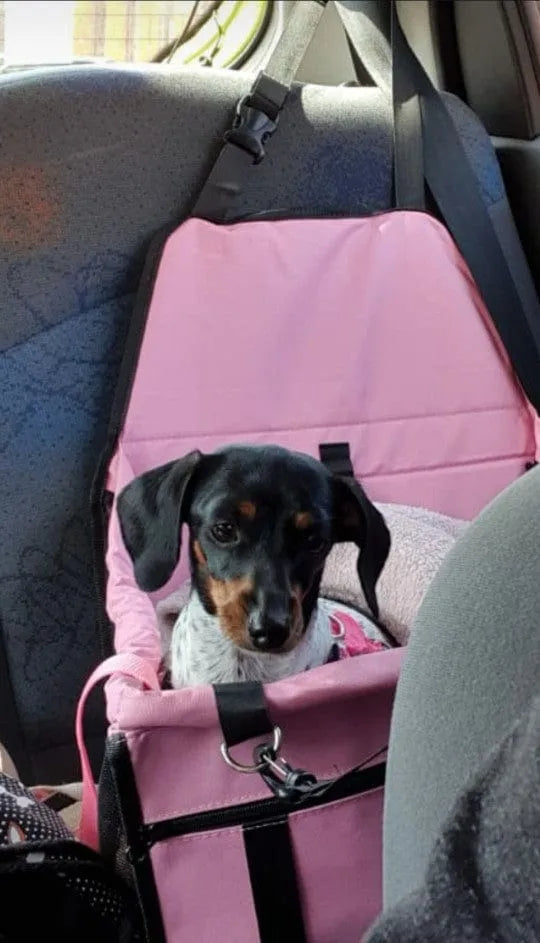 Dachshund Car Seat The Doxie World