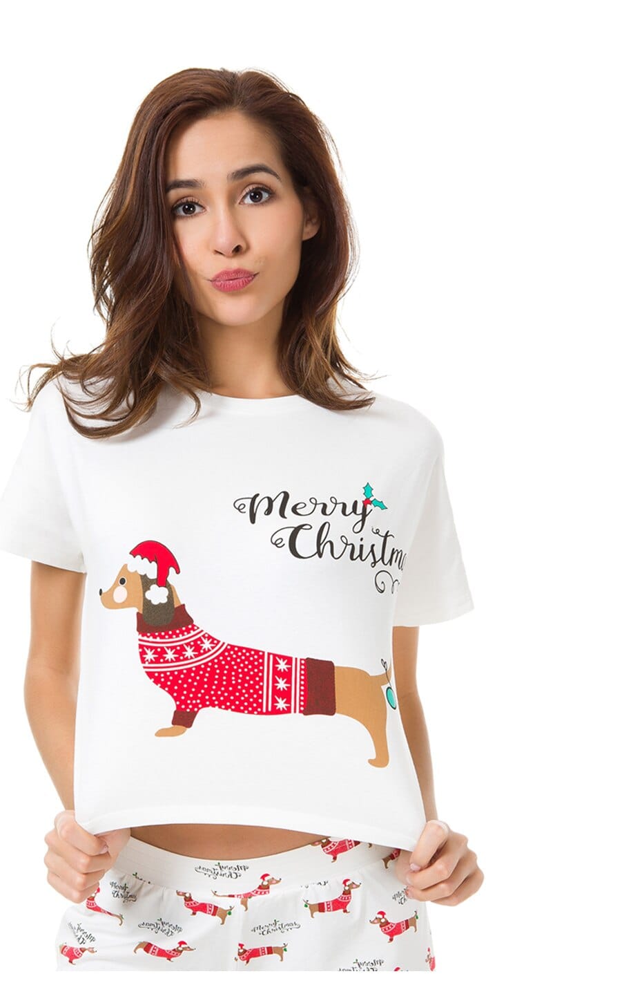 Christmas dachshund 2024 pajamas