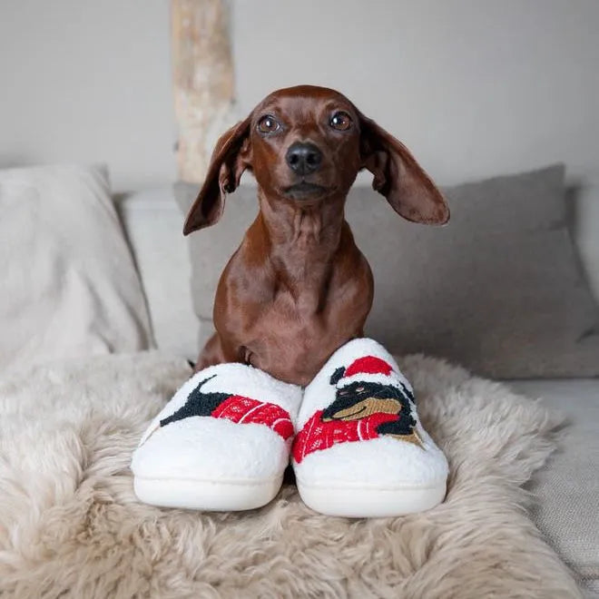 Dachshund Christmas Slippers The Doxie World