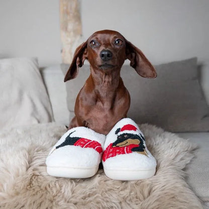 Dachshund Christmas Slippers The Doxie World