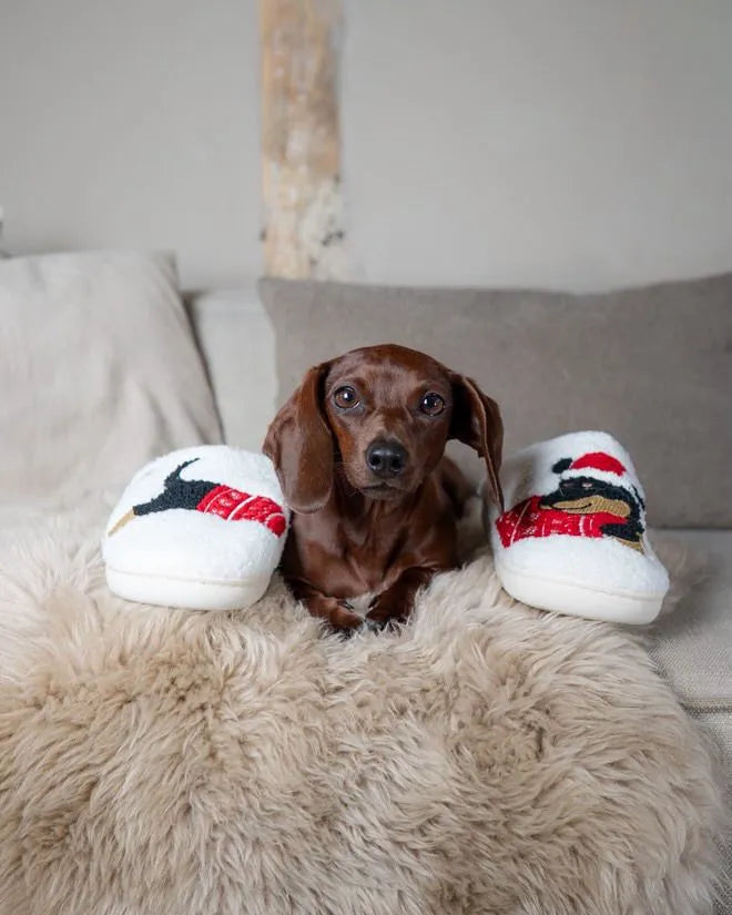 Dachshund Christmas Slippers The Doxie World