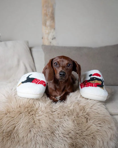 Dachshund Christmas Slippers The Doxie World