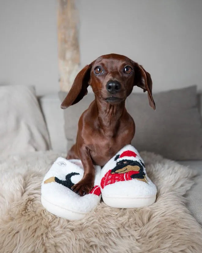 Dachshund Christmas Slippers The Doxie World
