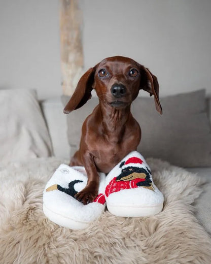 Dachshund Christmas Slippers The Doxie World
