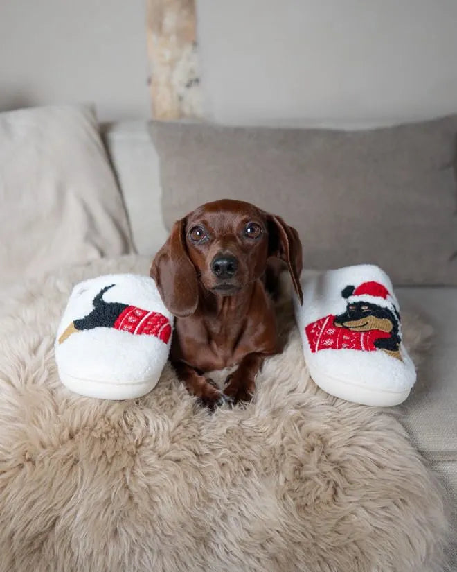 Dachshund Christmas Slippers The Doxie World