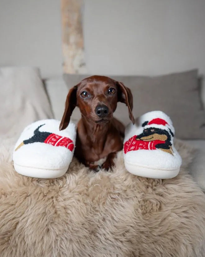 Dachshund Christmas Slippers The Doxie World