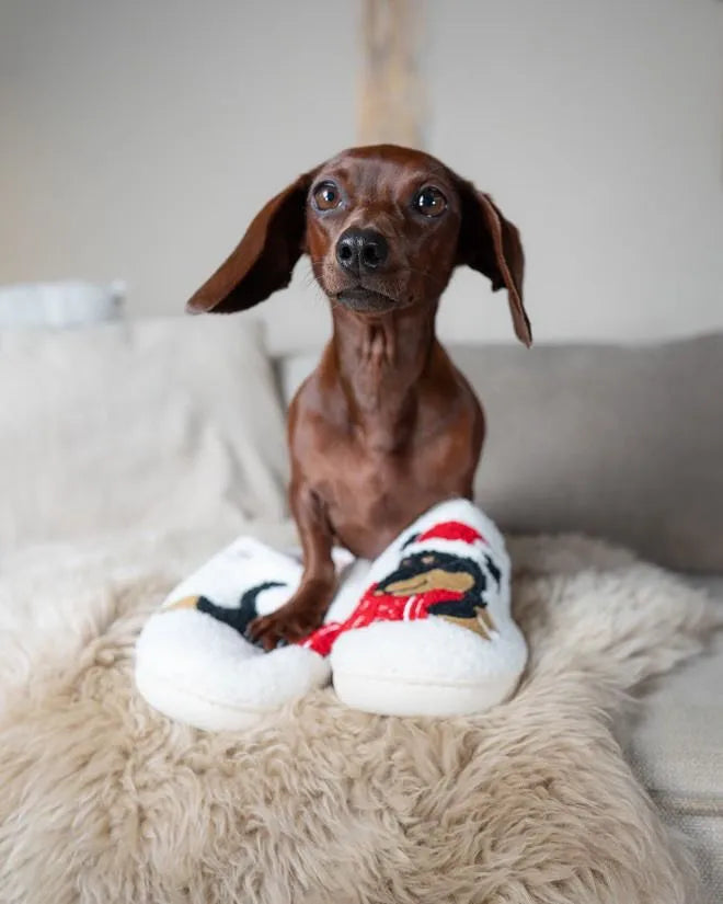 Dachshund Christmas Slippers The Doxie World