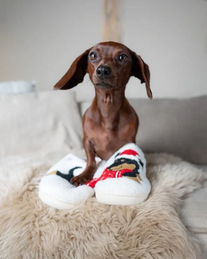 Dachshund Christmas Slippers The Doxie World