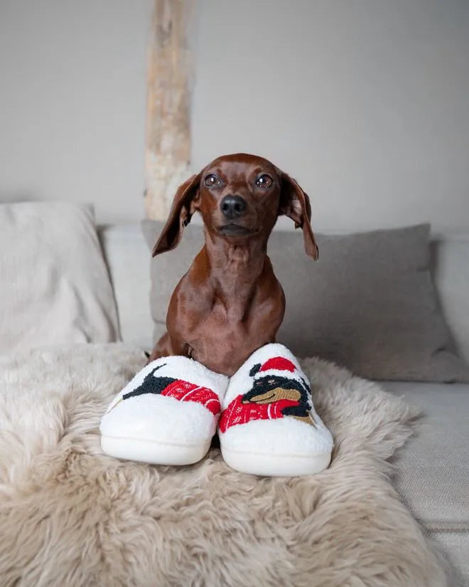 Dachshund Christmas Slippers The Doxie World