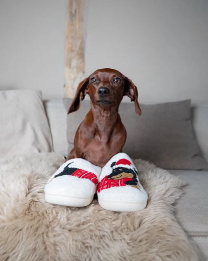 Dachshund Christmas Slippers The Doxie World