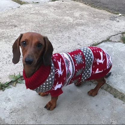 Dachshund Christmas Sweater The Doxie World