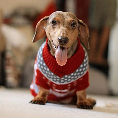 Dachshund Christmas Sweater The Doxie World