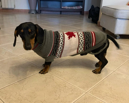 Dachshund Christmas Sweater Canadian Flag / 8 The Doxie World