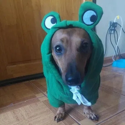 Dachshund Costumes The Doxie World