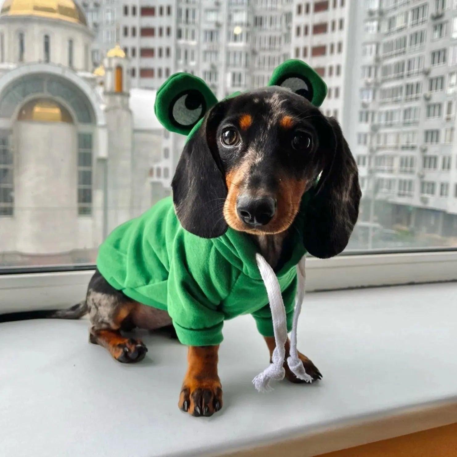 dachshund christmas dress Dachshund Christmas Costume Santa Claus Design Standing Cloth Dachshund Shop