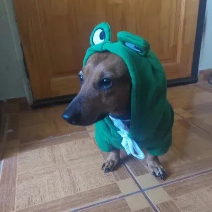 Dachshund Costumes The Doxie World