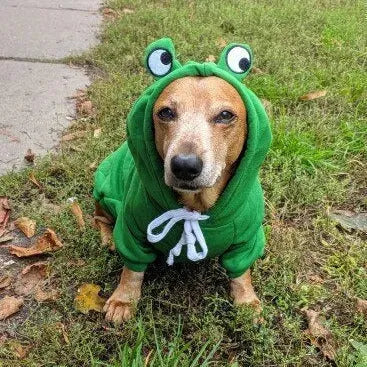 Dachshund Costumes The Doxie World