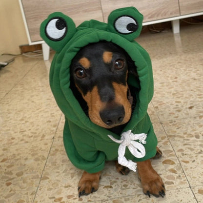 Dachshund Costumes Green / XS The Doxie World