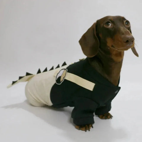 Dachshund Dinosaur Costume XS The Doxie World