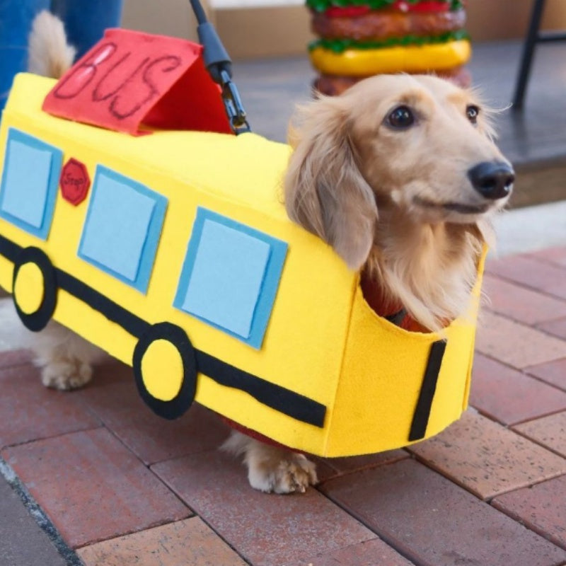 Dachshund Dog Bus Costume Yellow / XS The Doxie World