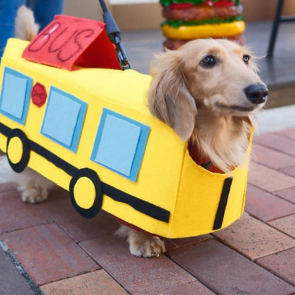 Dachshund Dog Bus Costume Yellow / XS The Doxie World