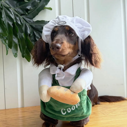 Dachshund Dog Chef Costume The Doxie World