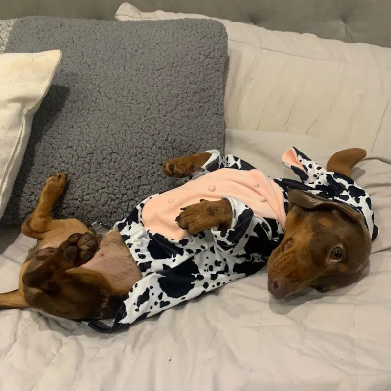 Dachshund Dog Cow Onesie The Doxie World