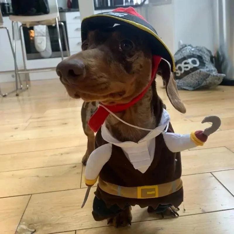 Dachshund Dog Pirate Costume S The Doxie World