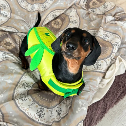 Dachshund Dragonfly Life Jacket The Doxie World