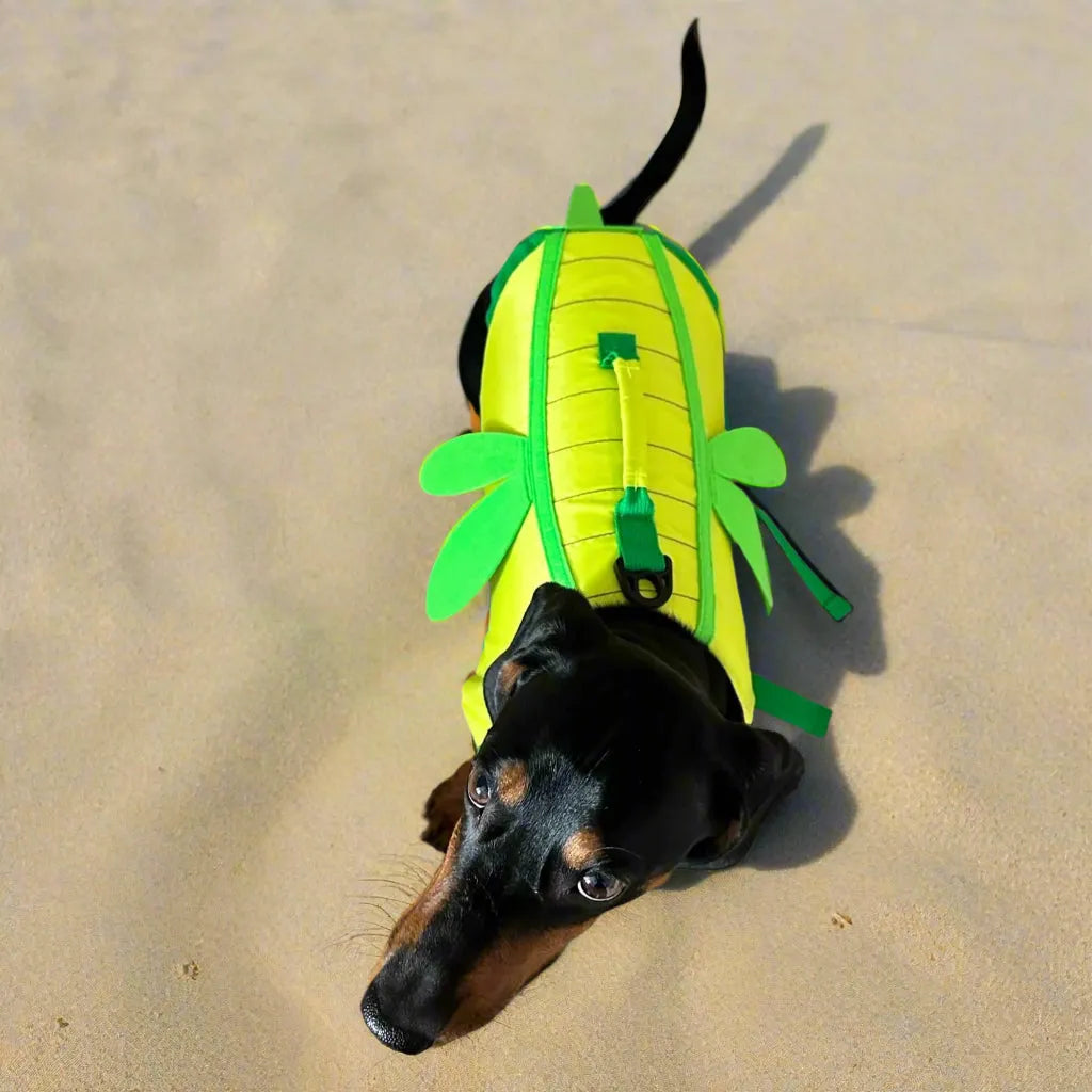 Dachshund Dragonfly Life Jacket Dragonfly / XS The Doxie World