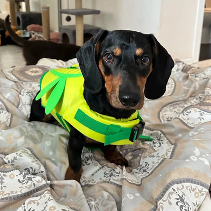 Dachshund Dragonfly Life Jacket The Doxie World