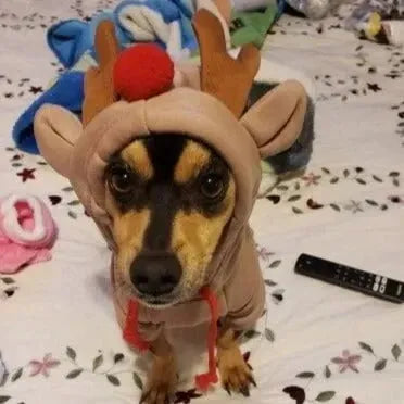 Dachshund Elk Hoodie The Doxie World