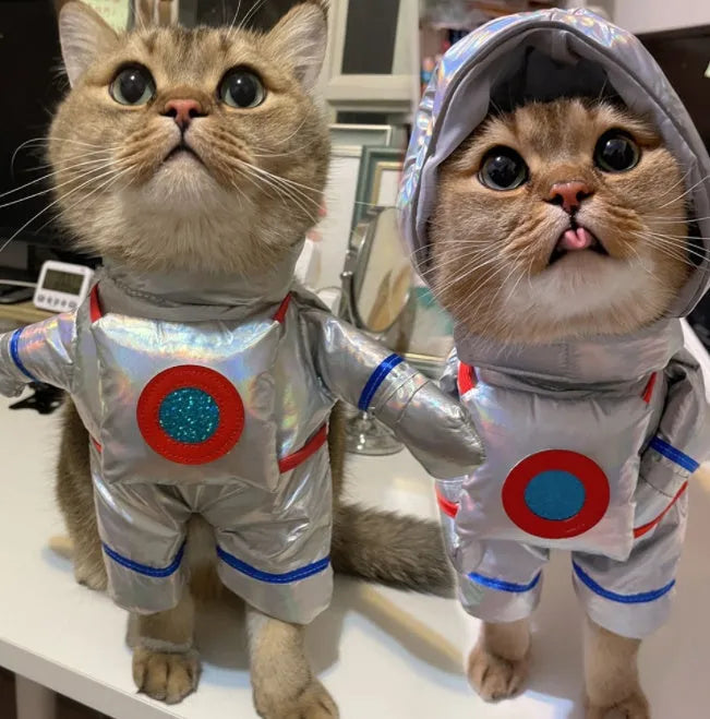 Dachshund Festive Costumes Astronaut / L The Doxie World