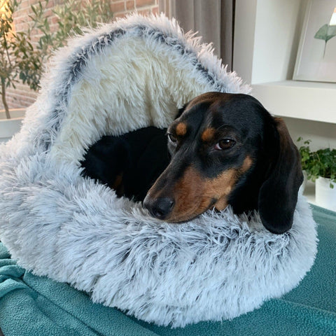 Dachshund Fluffy Cave Bed The Doxie World