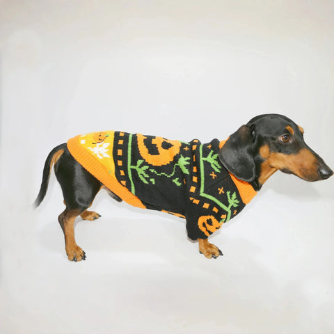 Dachshund Halloween Sweater XS The Doxie World