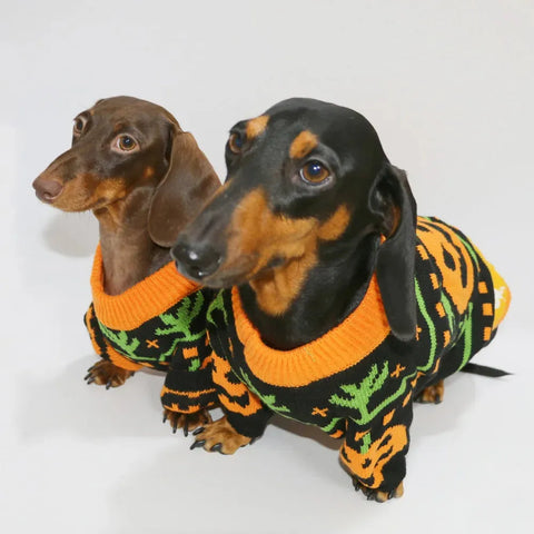 Dachshund Halloween Sweater The Doxie World