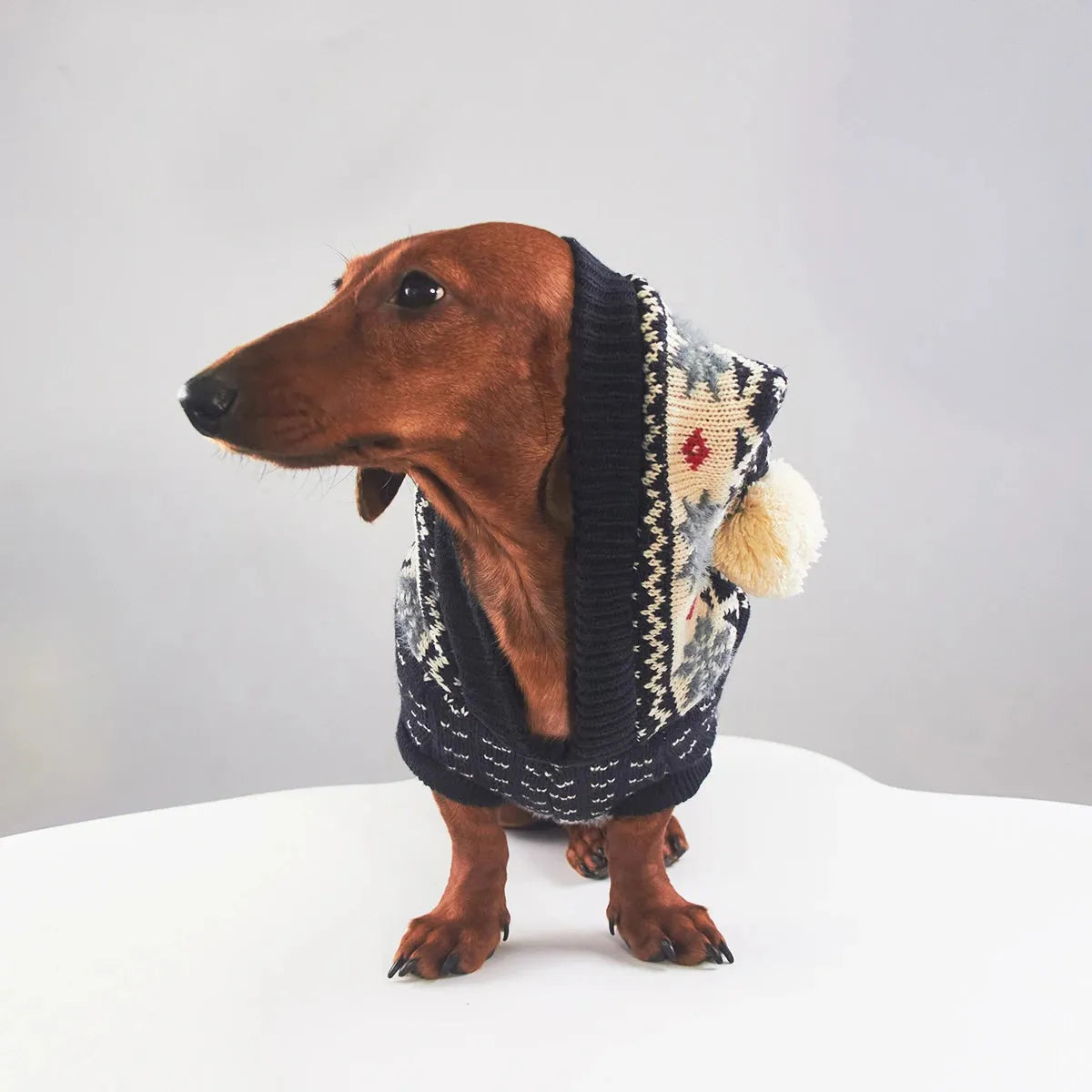 Dachshund Hooded Sweater The Doxie World