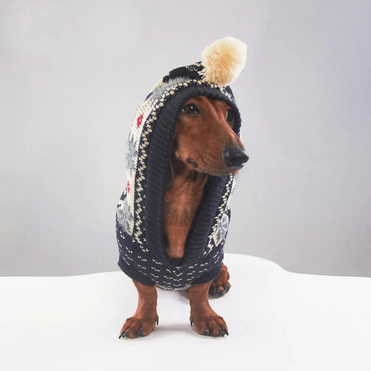 Dachshund Hooded Sweater The Doxie World