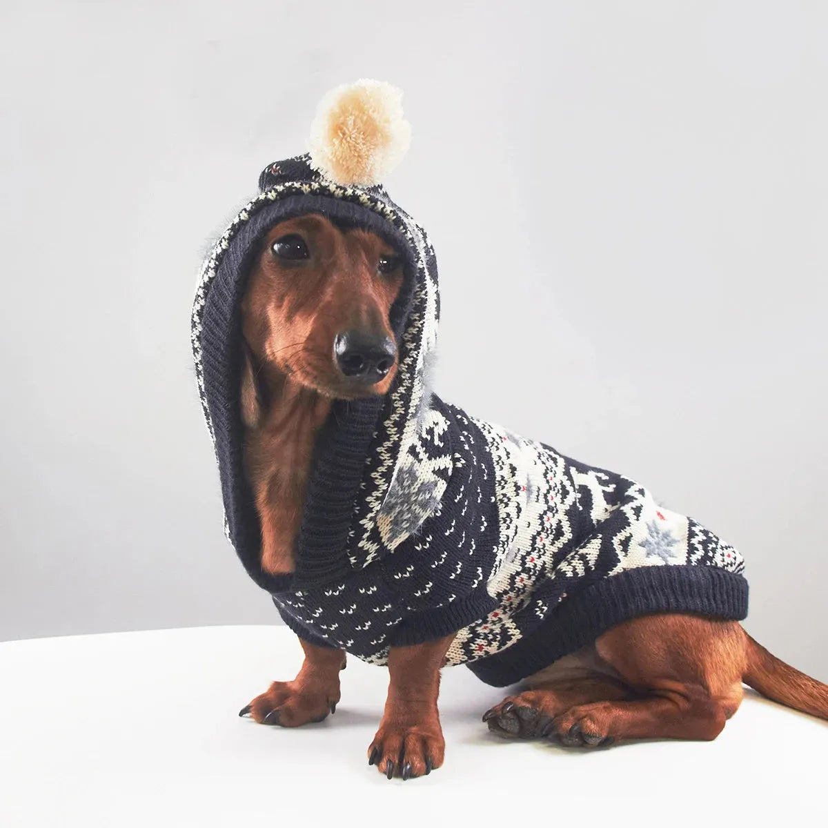 Dachshund Hooded Sweater The Doxie World
